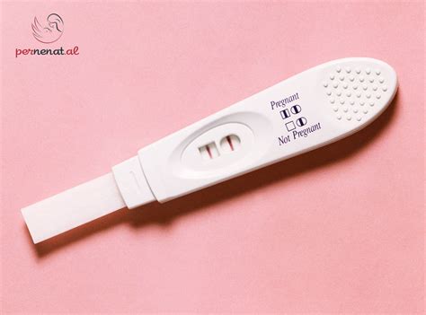 Testet për detektimin e shtatzënisë mund të jenë të ndryshme, të ndjeshme dhe më pak të ndjeshme. . Kur gabon testi i shtatzanise
